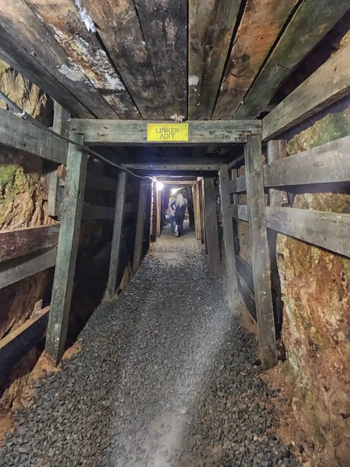 Reed-gold-mine-concords-handyman-crew-1 Historic underground mining tunnel with wooden support beams and gravel floor at Reed Gold Mine State Historic Site in Concord, North Carolina